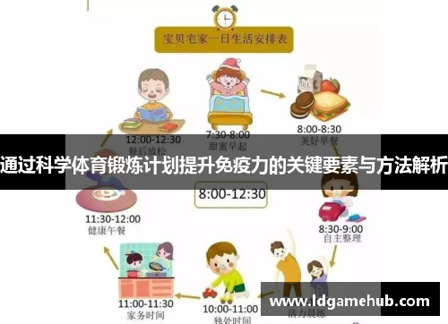 通过科学体育锻炼计划提升免疫力的关键要素与方法解析